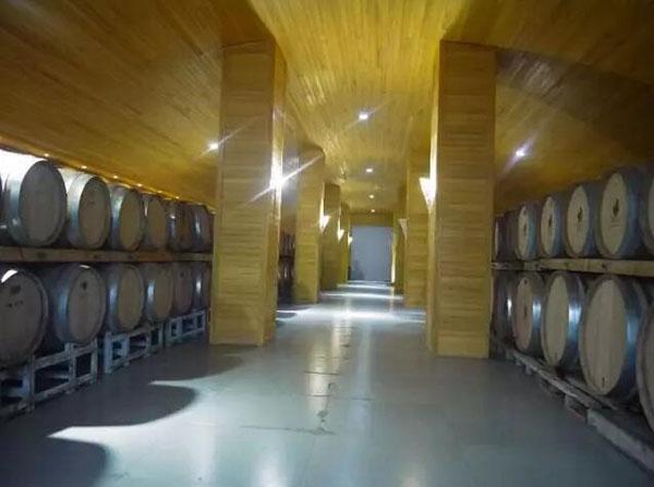 源于情懷,看姜莊主如何在新疆沙漠打造中國最大的&ldquo;休閑農莊&rdquo;!