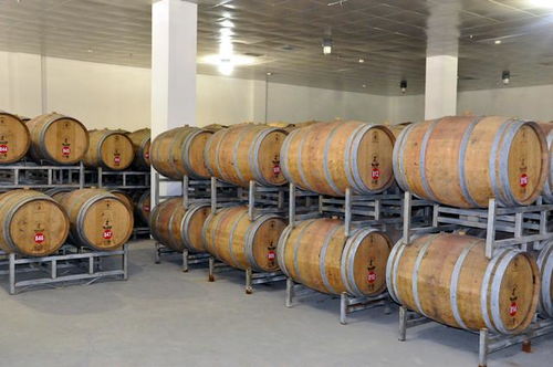 寧夏首個 西北單體規(guī)模最大的白蘭地基酒蒸餾項目正式投產(chǎn)