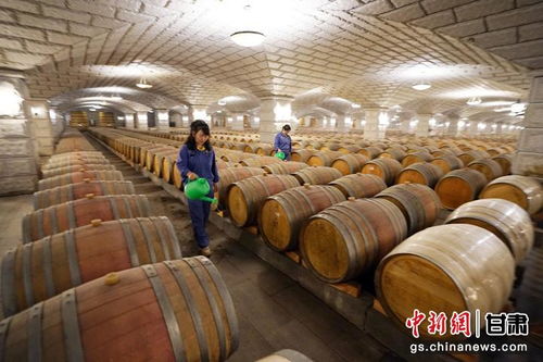 嘉峪關 觀城 酒鋼不僅生產鋼鐵 還有亞洲最大葡萄酒窖